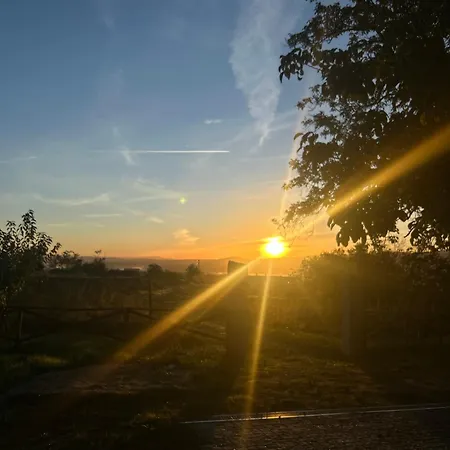 Casa Do Refugio Covilhã