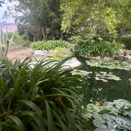 Casa Do Refugio Covilhã