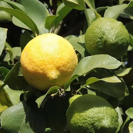 Apartman Casa Do Refugio *