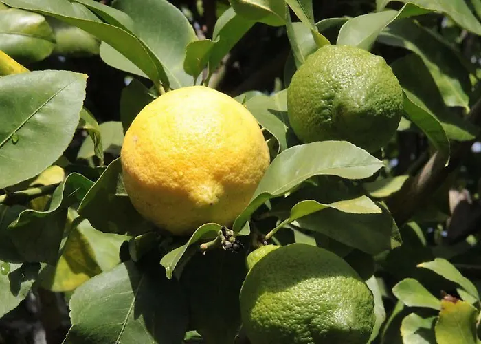 アパート Casa Do Refugio *